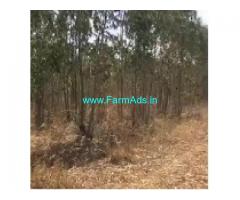 2 Acres Agriculture Land For Sale In Sakleshpur