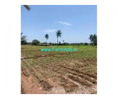 3.2 Acres Agriculture Land For Sale In Dharapuram