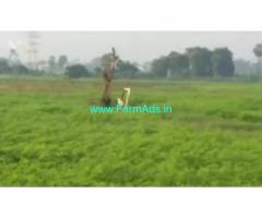 6.25 Acres Farm Land For Sale In Dharmavaram