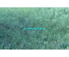 6.25 Acres Farm Land For Sale In Dharmavaram