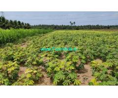 5.50 Acres Farm Land For Sale In Mahalingapuram