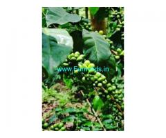 5 Acres Agriculture Land For Sale In Hassan