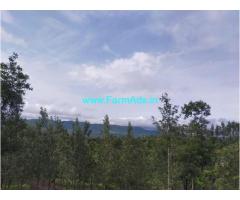 10 Acres Farm Land For Sale In Mallenhalli 10 Acres Farm Land For Sale In Mallenhalli