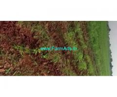 50 Acres Agriculture Land For Sale In Macherla