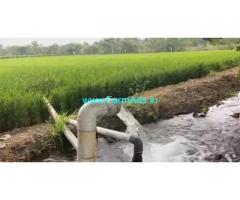 120 Acre Farm Land For Sale near Tirupti