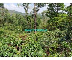 35 Acres Farm Land For Sale In Sakleshpur