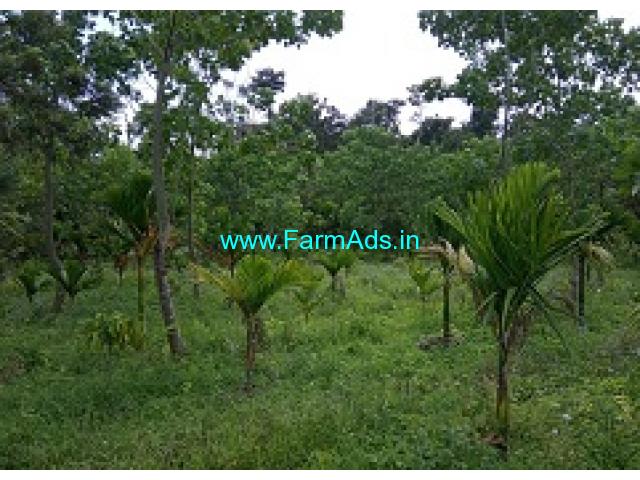 5 Acres Agriculture Land For Sale In Mallandur 5 Acres Agriculture Land For Sale In Mallandur