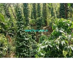 3 Acres Farm Land For Sale In Mudigere