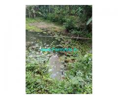 7 Acres Areca Farm Land for sale 18km from Puttur