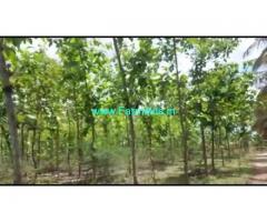 9 Acres Agriculture Land For Sale In Holepura