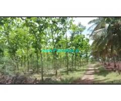 9 Acres Agriculture Land For Sale In Holepura