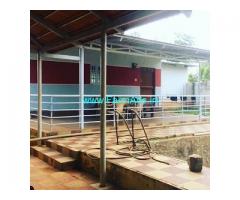 4.19 Acres developed farm house with Green house for sale in Doddballapura