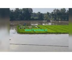 75 Acres Farm Land For Sale In Gudur