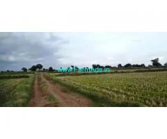 13 Acres Agriculture Land For Sale In Harivaram