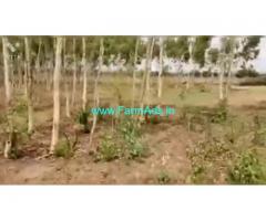 4 Acres Farm Land For Sale In Kondurg