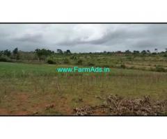 20 Acres Farm Land For Sale In Bettdamarahalli