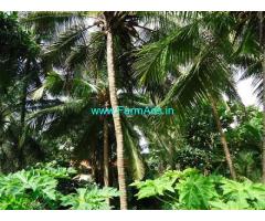 14.5 Cent Farm Land For Sale In Padavinagadi