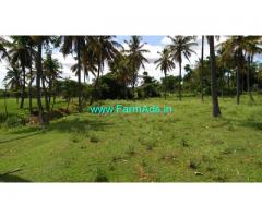 2 Acres 27 Gunta Agriculture Land For Sale In Sathanur 2 Acres 27 Gunta Agriculture Land For Sale In Sathanur