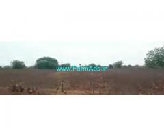 100 Acres Agriculture Land For Sale In Tandur
