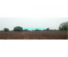 100 Acres Agriculture Land For Sale In Tandur