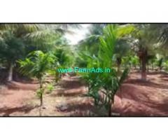 6 Acres 10 Gunta Farm Land For Sale In Chamarajanagar