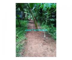 32 Cents Farm Land For Sale In Valiyaparambu