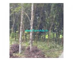 114 Cents Agriculture Land For Sale In Chenganur