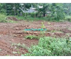 60 cents Farm Land For Sale In Thirparappu