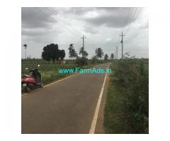20 Guntas Farm Land For Sale In Doddabalapura