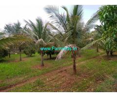 5 Acres Farm Land For Sale In Chikkamagaluru