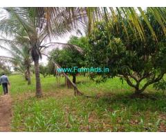 5 Acres Farm Land For Sale In Chikkamagaluru