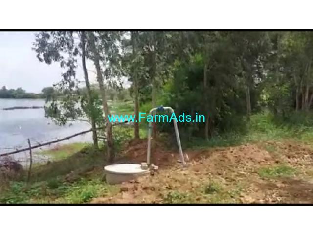 10 Acres 10 Gunta Agriculture Land For Sale In Saraguru 10 Acres 10 Gunta Agriculture Land For Sale In Saraguru