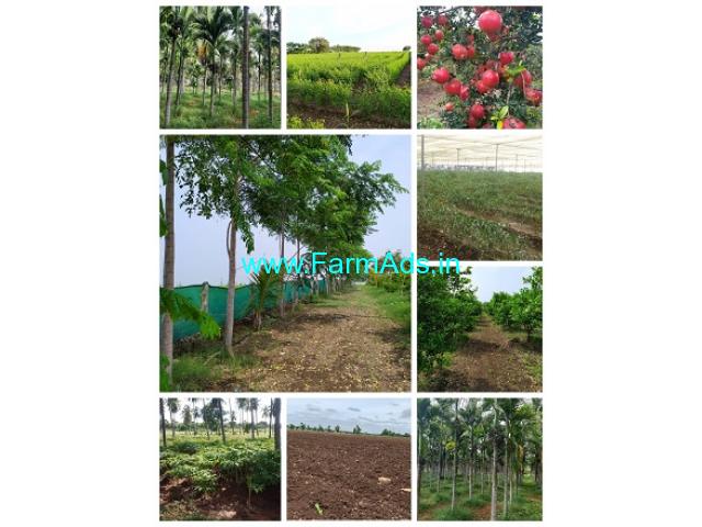 6.20 Acres Farm Land For Sale In Hiriyur 6.20 Acres Farm Land For Sale In Hiriyur
