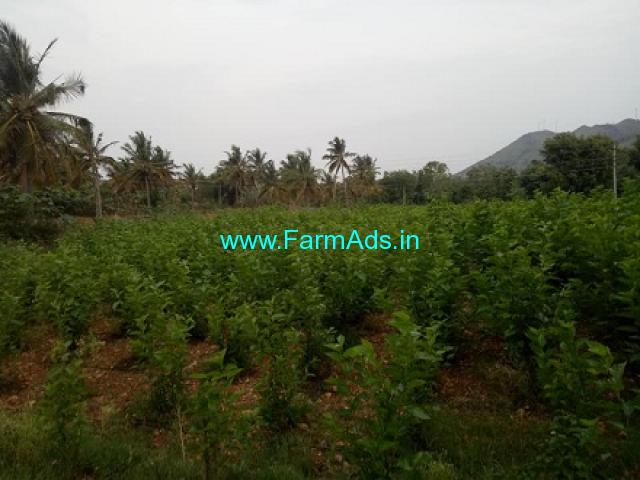 5 Acres Farm Land For Sale In Hiriyure 5 Acres Farm Land For Sale In Hiriyure