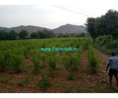 5 Acres Farm Land For Sale In Hiriyure 5 Acres Farm Land For Sale In Hiriyure