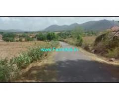 5 Acres Agriculture Land For Sale In Dinnahalli 5 Acres Agriculture Land For Sale In Dinnahalli