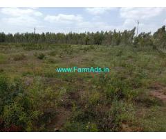 6 Acres 30 Gunte Farm Land For Sale In Doddaballapur
