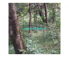 30 Acres Agriculture Land For Sale In Sakleshpura