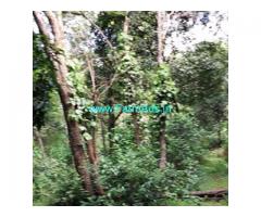 30 Acres Agriculture Land For Sale In Sakleshpura