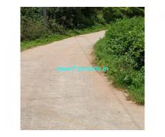 30 Acres Agriculture Land For Sale In Sakleshpura