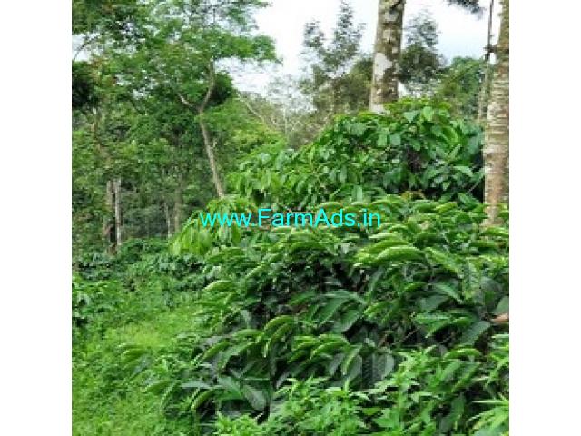 8 Acres Farm Land For Sale In Belur 8 Acres Farm Land For Sale In Belur