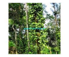8 Acres Farm Land For Sale In Belur 8 Acres Farm Land For Sale In Belur