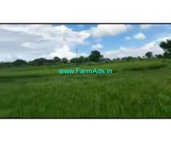 5 Acres Agriculture Land For Sale In Nanjangudu 5 Acres Agriculture Land For Sale In Nanjangudu