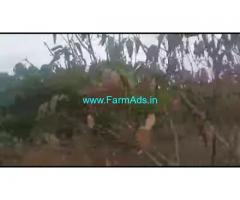 8 Acres Farm Land For Sale In Malavalli