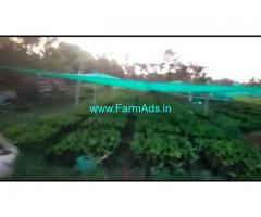 7 Acres 20 Gunta Agriculture Land For Sale In HD kote