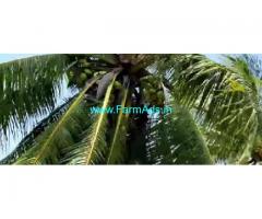 52 Acres Agriculture Land For Sale In Tirukalukundram