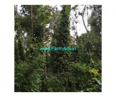 6 Acres Farm Land For Sale In Mudigere