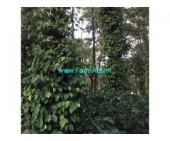 6 Acres Farm Land For Sale In Mudigere
