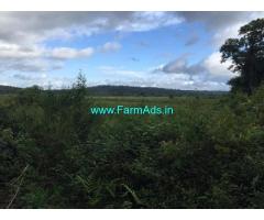 2 Acres Agriculture Land For Sale In Chikkamagaluru