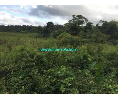 2 Acres Agriculture Land For Sale In Chikkamagaluru